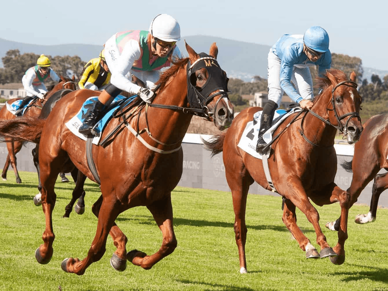 24. Amahhashi - Greyville 06 February 2026