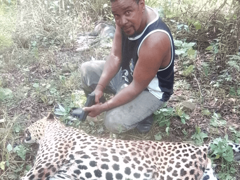 05. Injabulo kobevulelwe icala lokubulala ingwe "wayinika iSilo"
