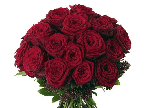 15. Kuchwazile kwandiza amadilozi kowamahlaya ne-gospel