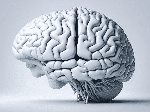 12. Sidinga ukuqashelwa isimo sokusebenza komqondo