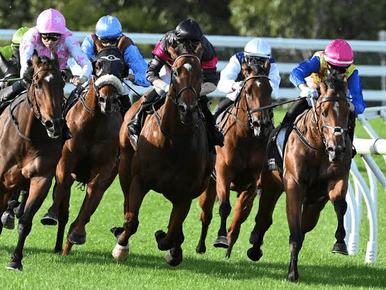 22. Amahhashi - Greyville - 16 October 2026