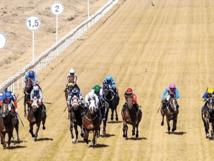 24. Amahhashi - Vaal - 17 January 2026