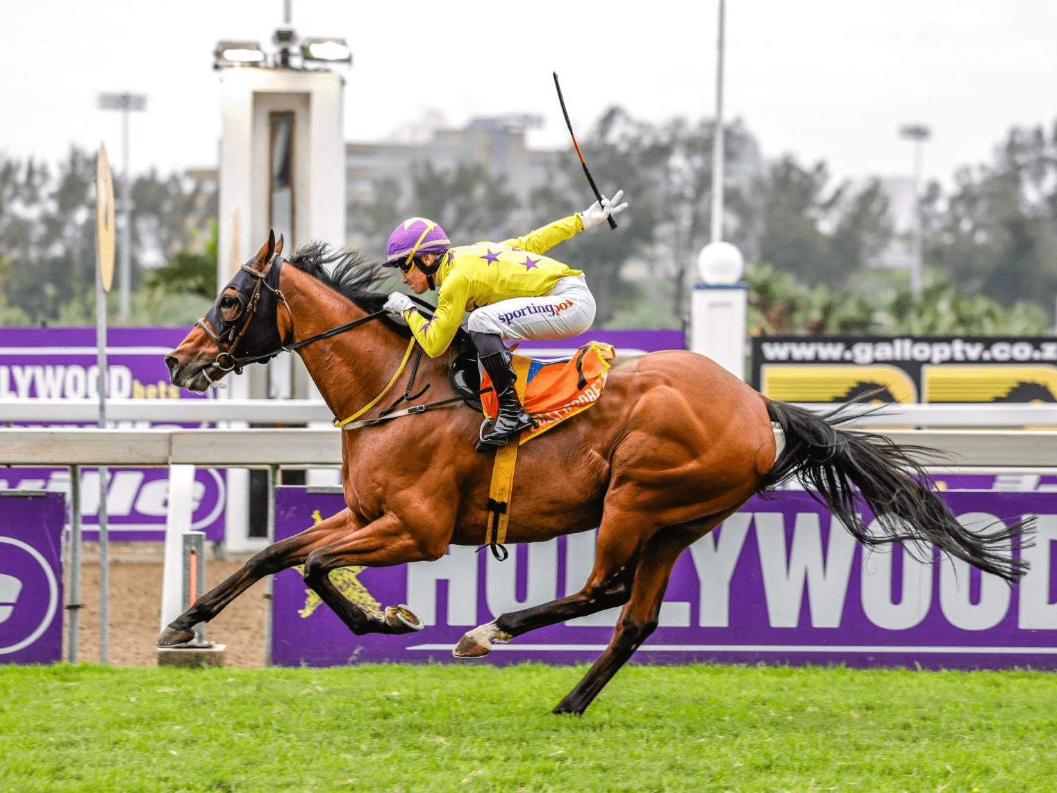 25. Amahhashi - eGreyville ngeSonto 27 July