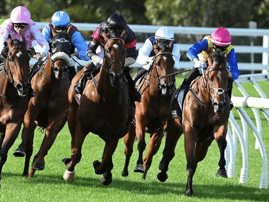 24. Amahhashi - Greyville - 02 October 2026