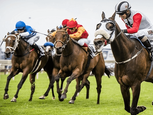 25. Amahhashi - Turffontein - 07 December 2025