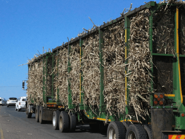 13. Ukunyuka kukaphethiloli kudinga umthengi ozokhalipha