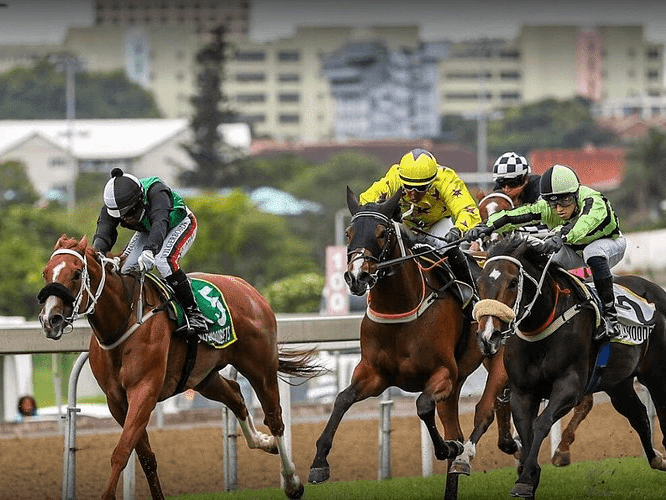 25. Amahhashi - Greyville - 19 October 2025