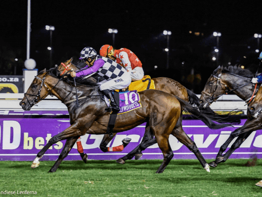 16.2 Hollywoodbets 22March2025