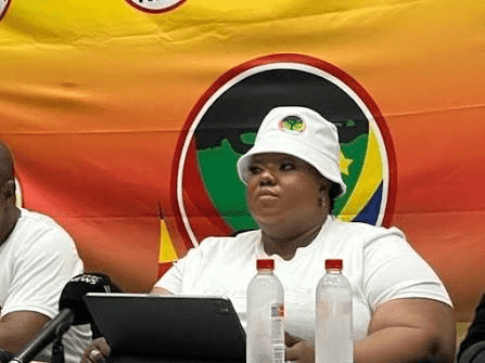 08. Isekela lemeya yeTheku lisungule iqembu elisha