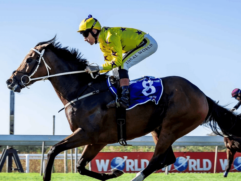 16.1. Amahhashi 06 June 2025