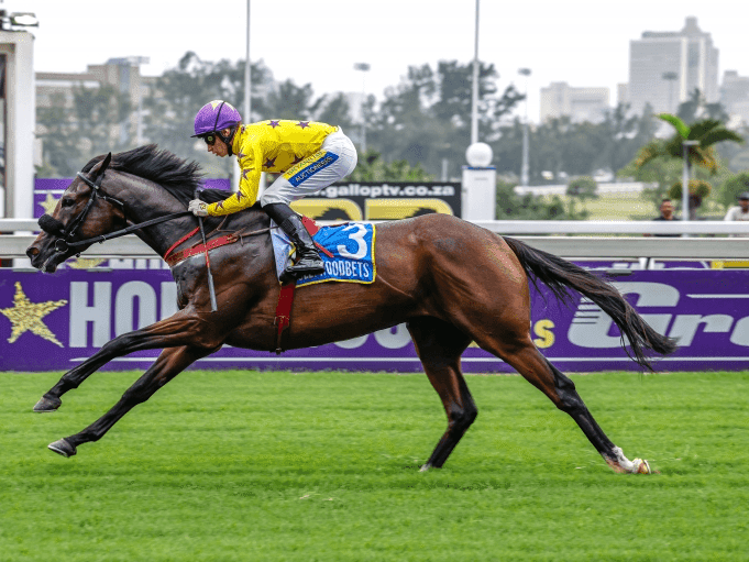 16.6 28 April Hollywoodbets Kenilworth_2025