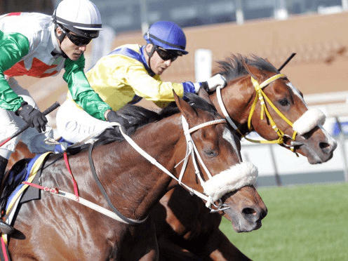 25. Amahhashi - Vaal - 20 December 2025