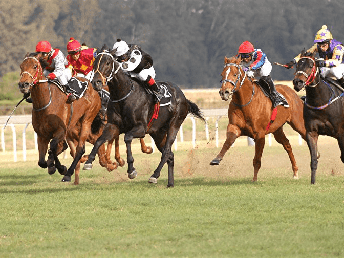 23. Amahhashi - Fairview - 17 October 2025