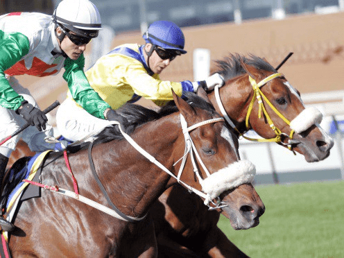 25. Amahhashi - Scottsville - 21 September - 2025