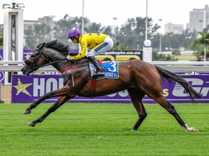 16.2 Hollywoodbets Greyville 10 May 2025