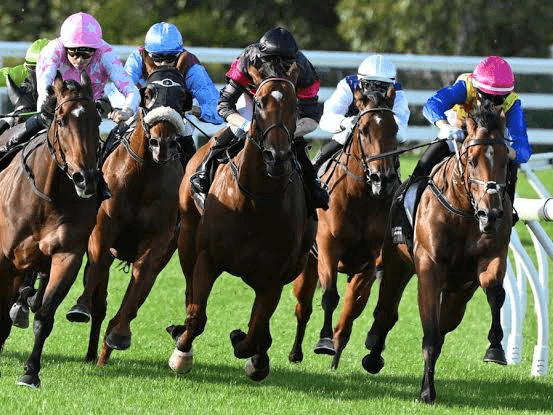 24. Amahhashi - Greyville - 28 August 2026