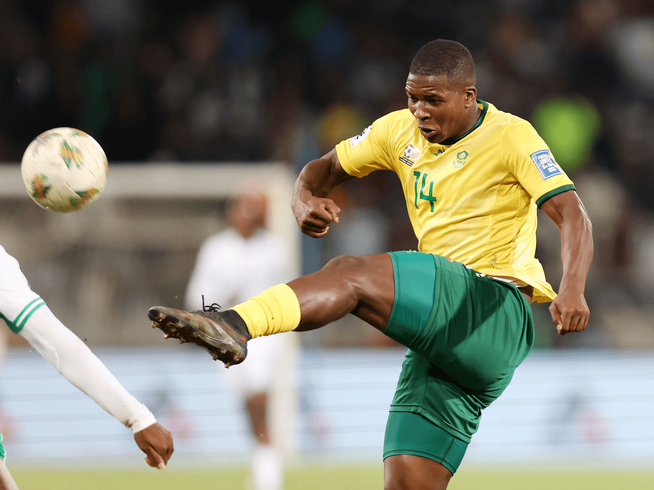 19. Siyazishwashwatha