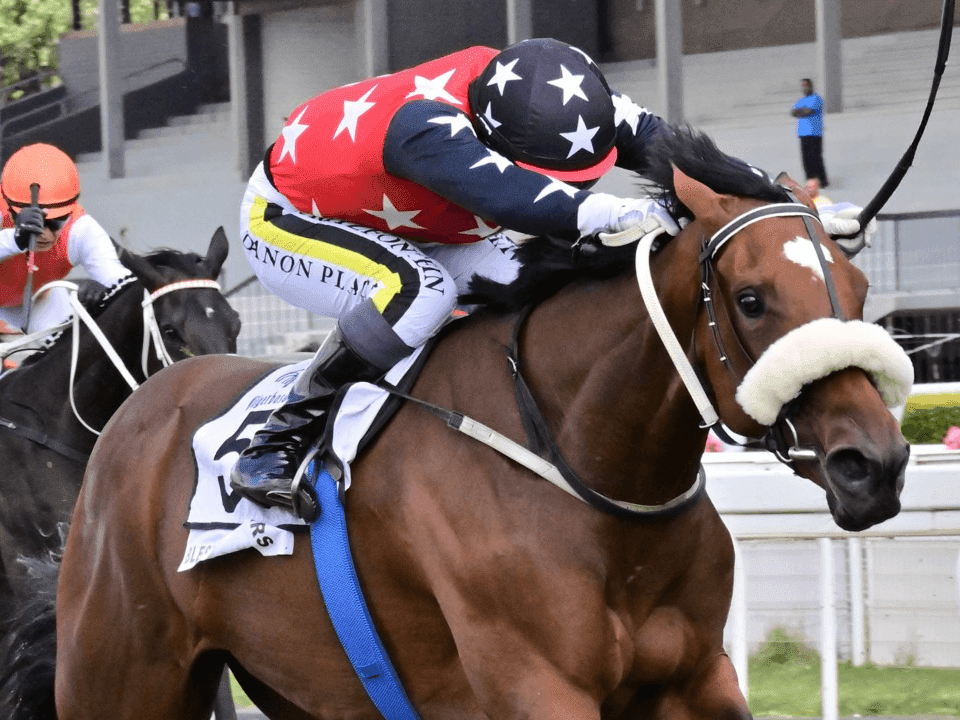 17. Amahhashi - Imijaho yaseTurffontein ngoMgqibelo