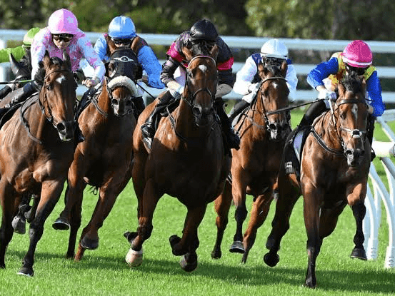 24. Amahhashi - Greyville - 23 October 2026