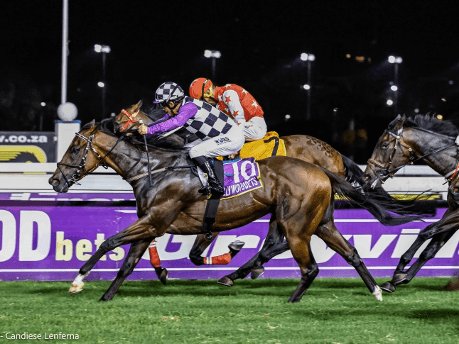 16.3 4 May Hollywoodbets Kenilworth