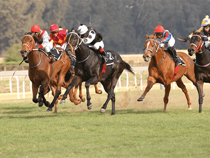 23. Amahhashi - Fairview - 03 April 2026