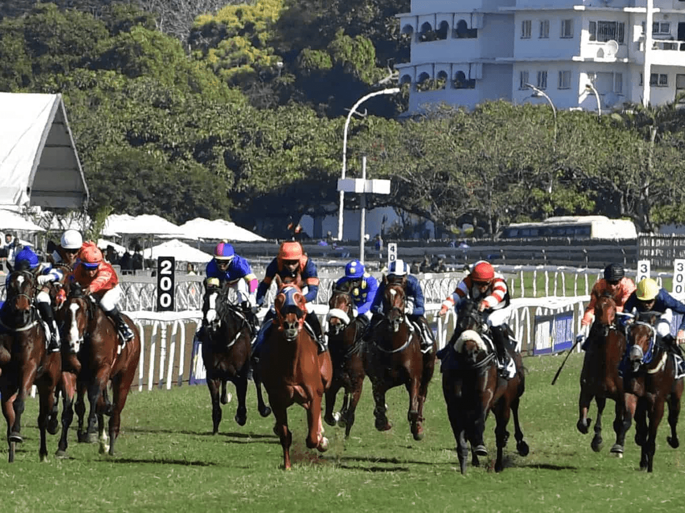 23. Amahhashi - Greyville - 03-08-25