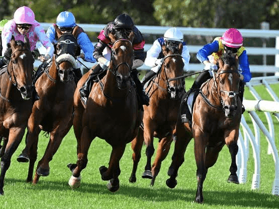 25. Amahhashi - Greyville - 21 August 2026