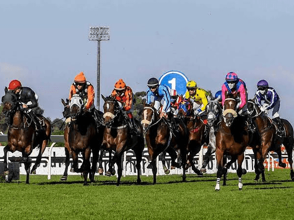 24. Amahhashi - Turffontein 25 July 2026