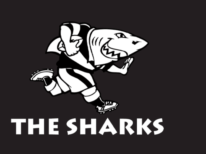 20. ISharks ithi iyabazi ubuthaka beStormers