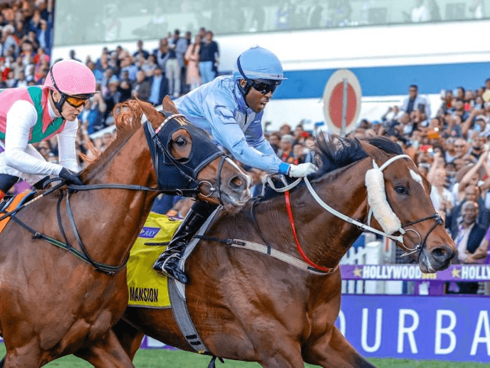 24. Amahhashi - Greyville - 27 February 2027