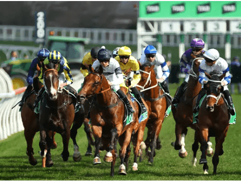 23. Amahhashi - Fairview - 30 January 2026