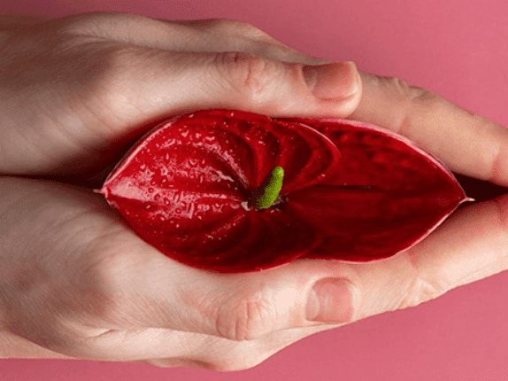 12. Ukwehla kwesisindo somzimba kuthinta nesitho sangasese