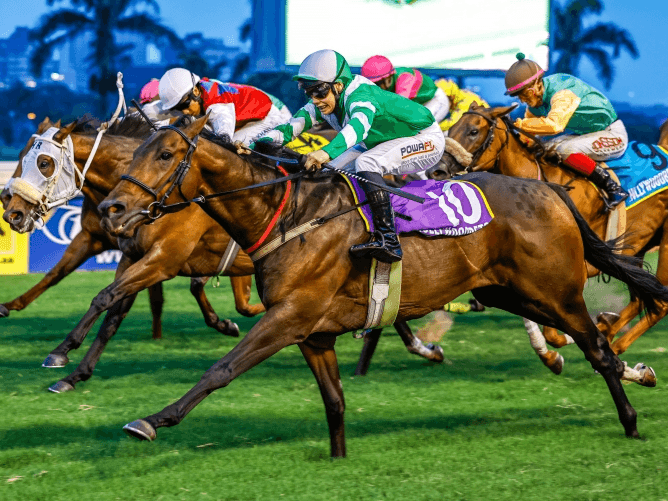 16.1 25 April Fairview_2025