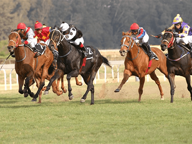 16. Amahhashi - Fairview 04-07-25