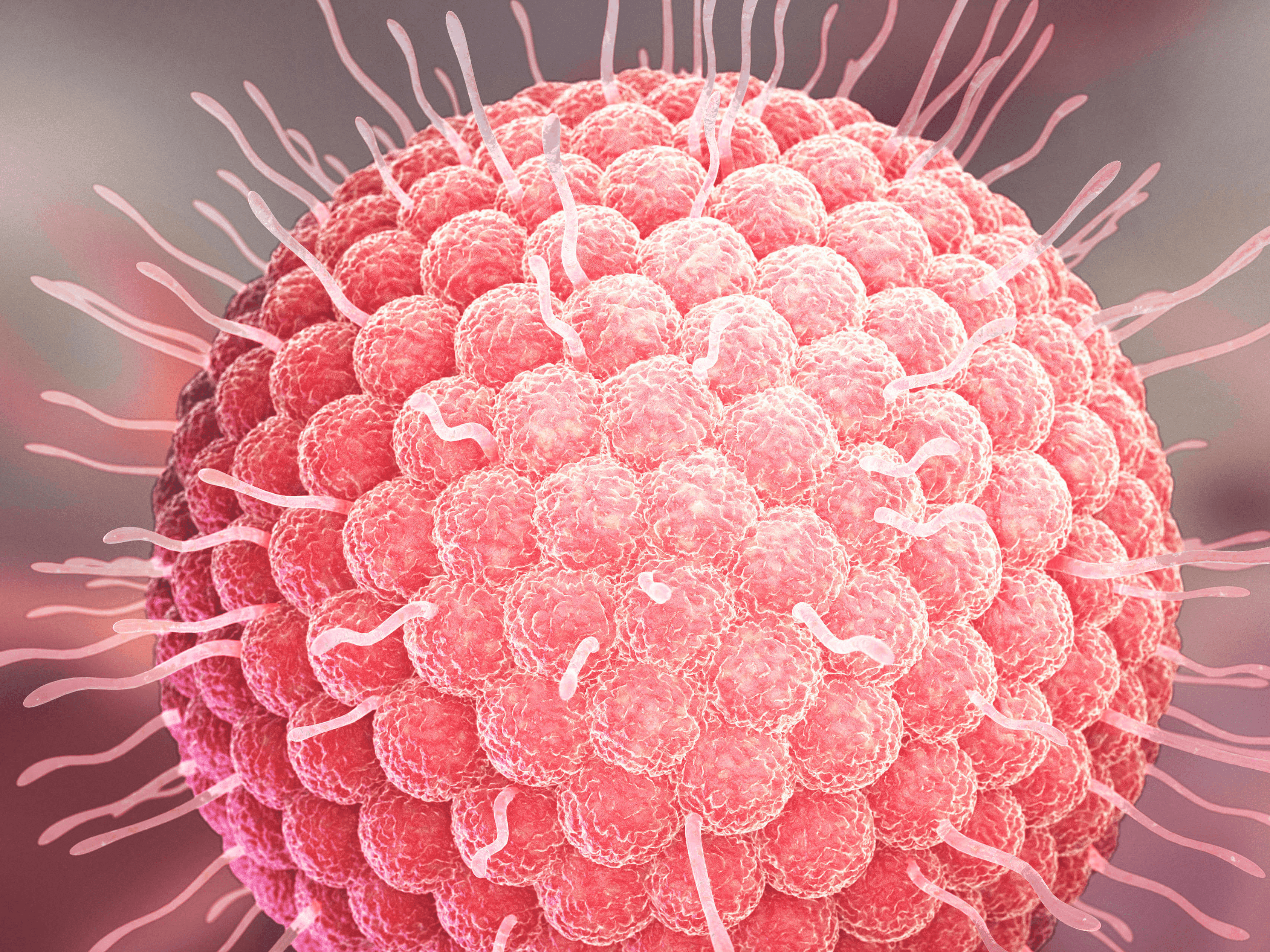 12. Ngabe ibhade liyabulala na?