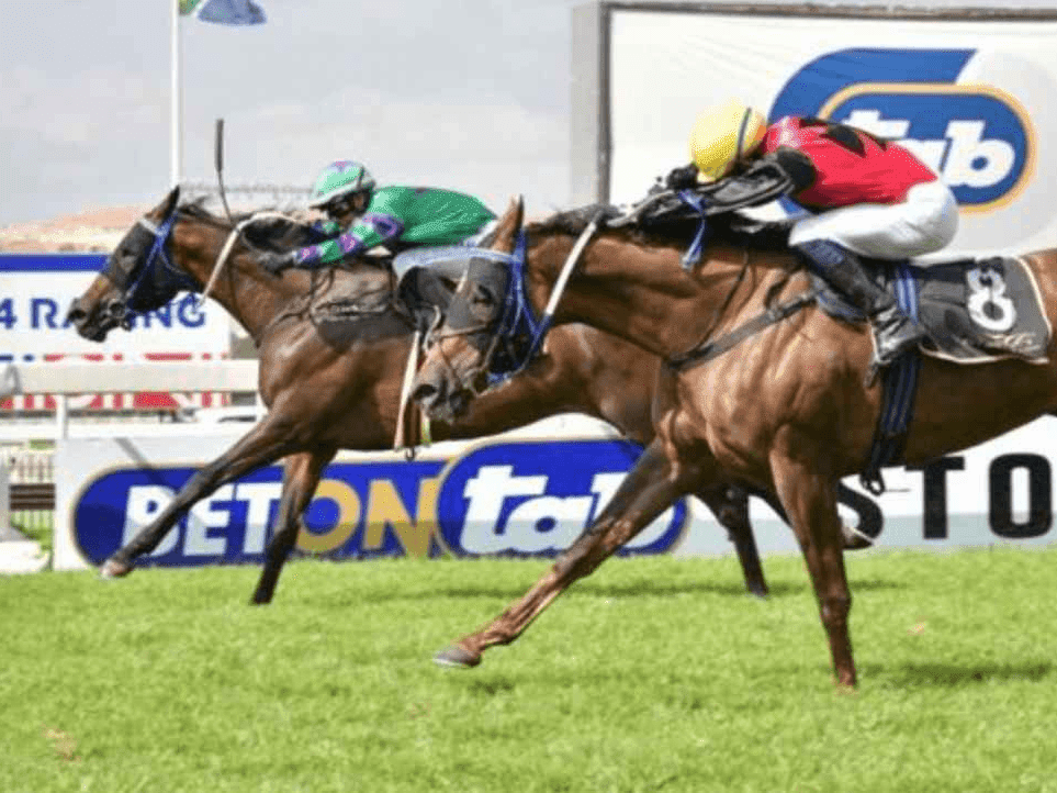 25. Amahhashi - Turffontein - 17-08-25