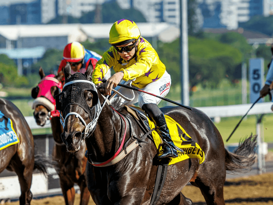 16.2. Amahhashi 07 June Hollywoodbets Greyville