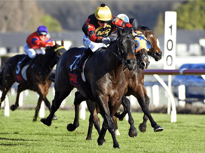 23. Amahhashi - Turffontein - 14 March 2026