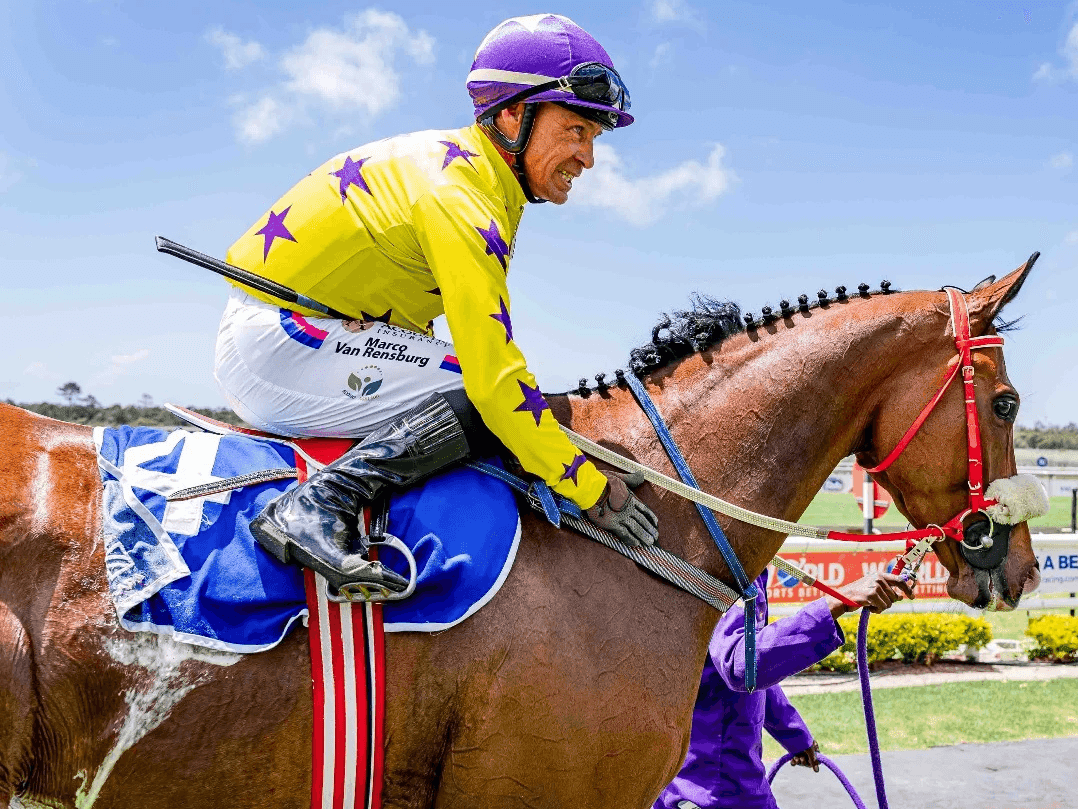 16. Amahhashi - Fairview 13 June  2025