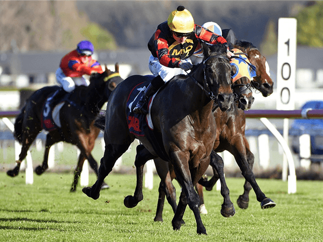 25. Amahhashi - Turffontein - 28 September 2025