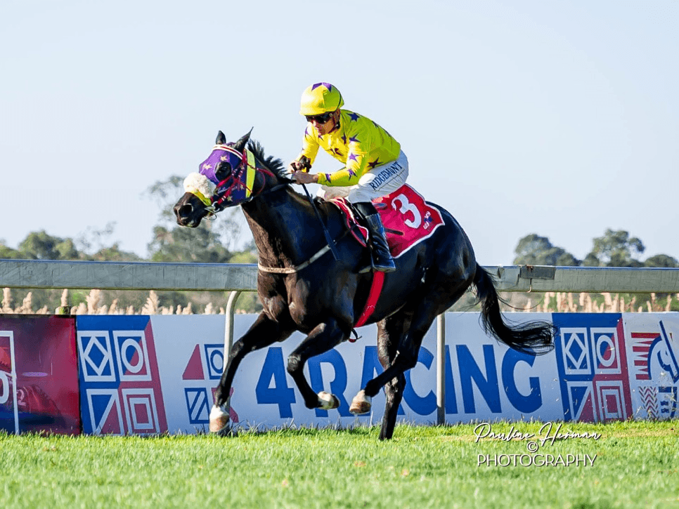 23. Amahhashi - Fairview - 27 March 2026