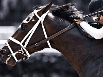 24. Amahhashi - Fairview - 22-0825