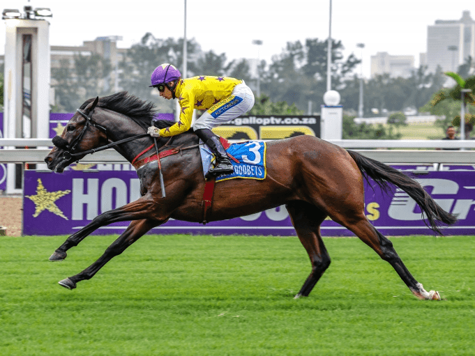 16.3 27 April Hollywoodbets Scottsville_2025