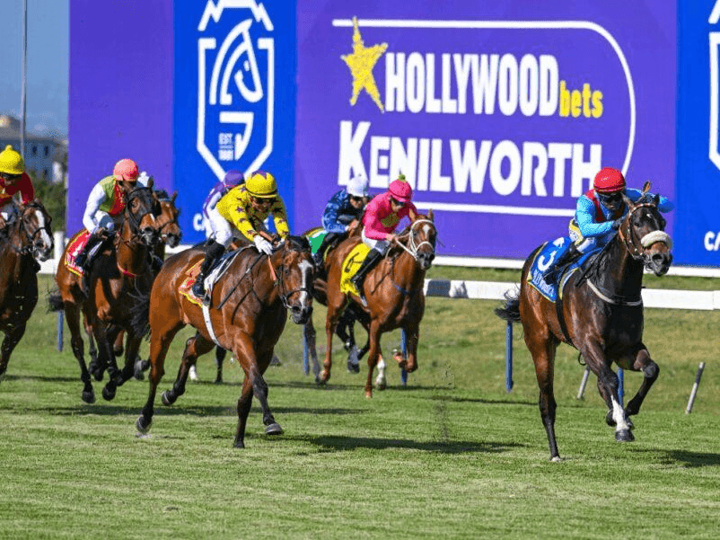 25. Amahhashi - Kenilworth - 22 November 2025