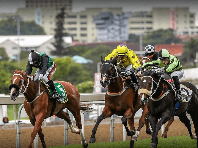 24. Amahhashi - Greyville 27 March 2026