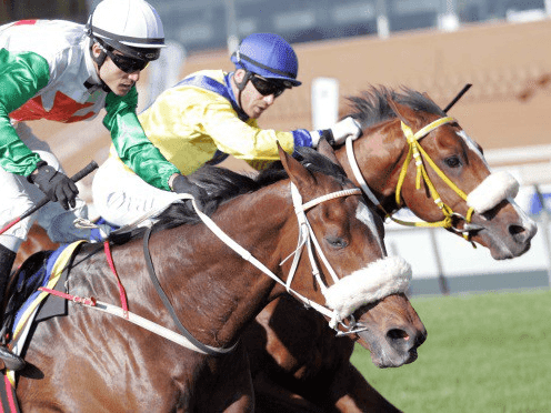 23. Amahhashi - Durbanville - 21 March 2026