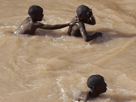 12. Ubungozi besifo sovendle