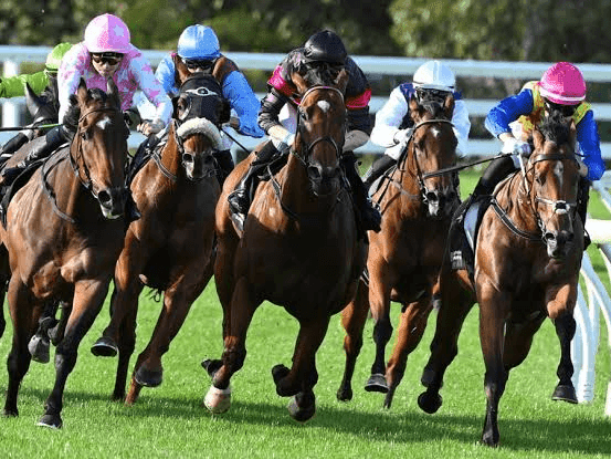 23. Amahhashi - Greyville - 14 August 2026