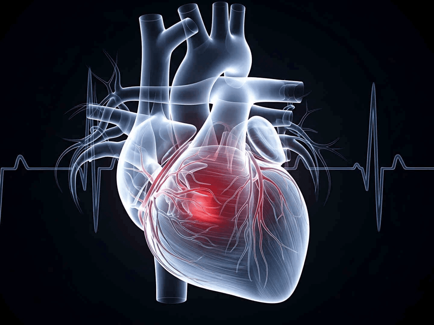 12. Ubungozi besifo senhliziyo