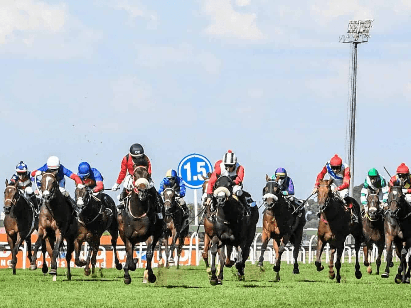 26. Amahhashi - Durbanville - 22 August 2026